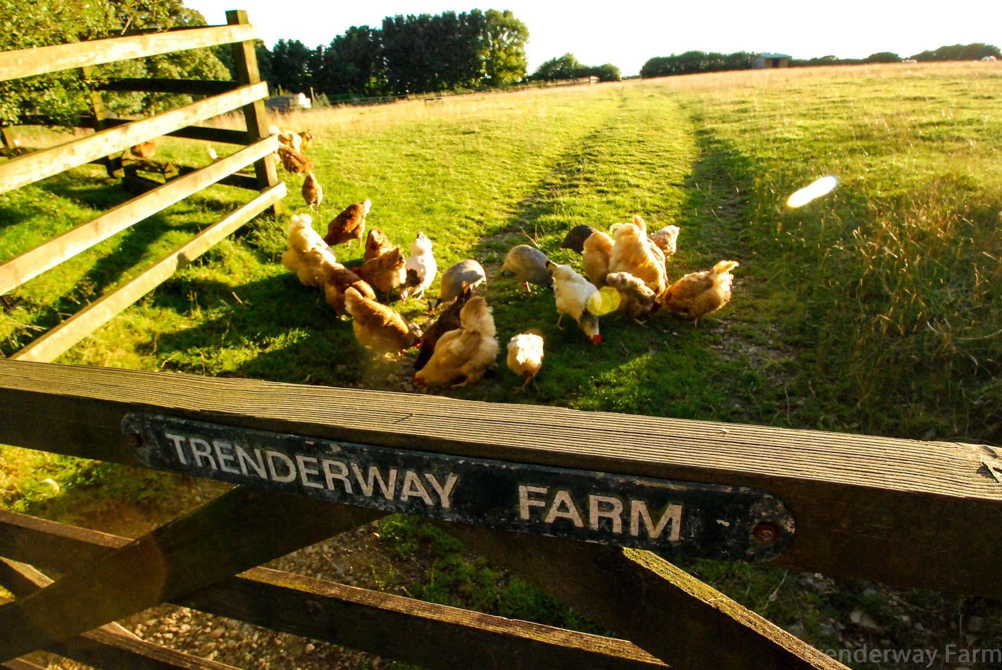 مبيت وإفطار لوي Trenderway Farm المظهر الخارجي الصورة